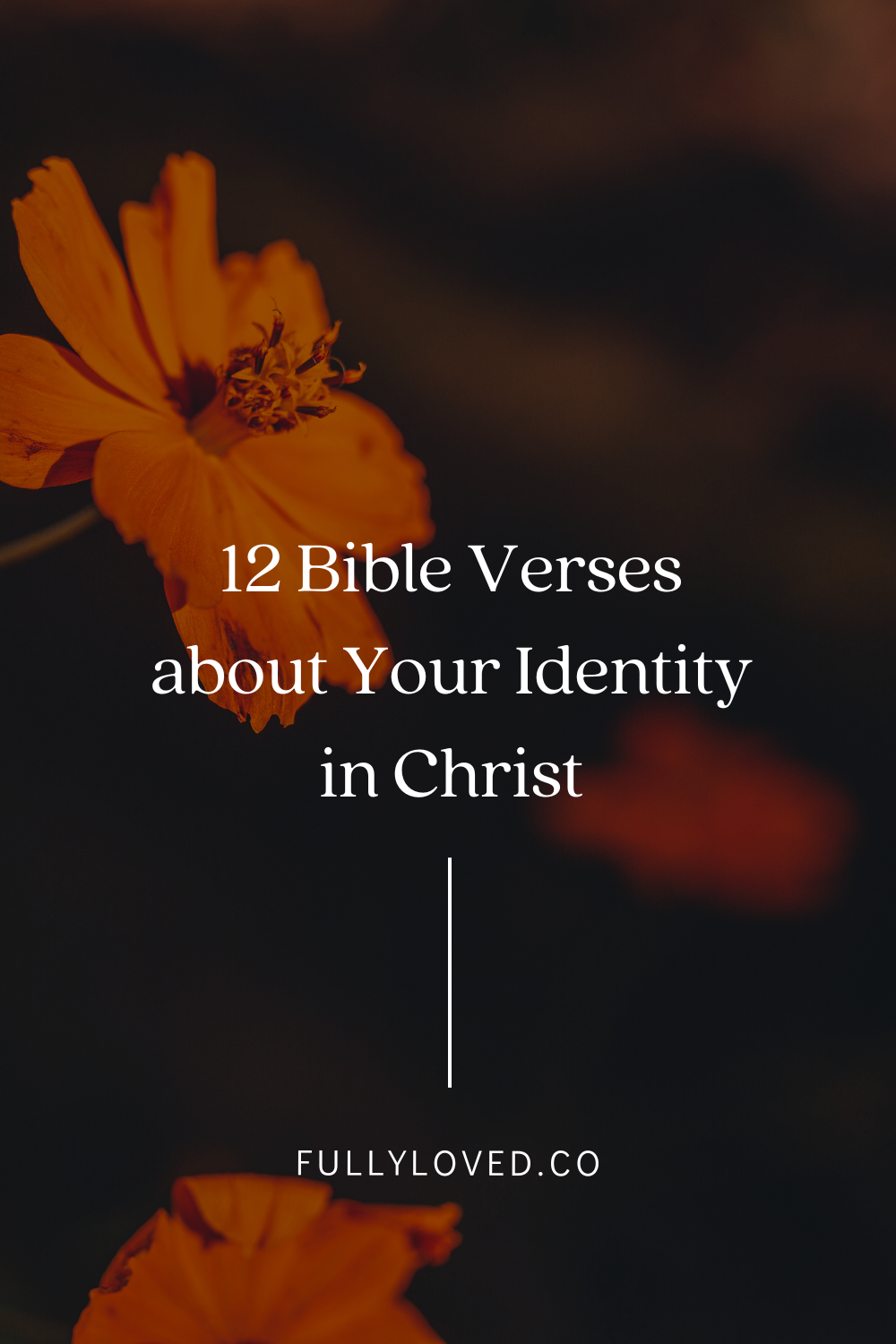 20 Bible Verses About Identity – KVMY